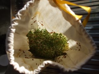 A bag fulla sprouts!